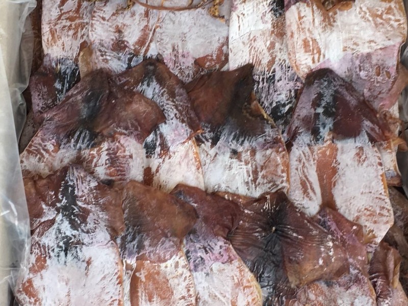 Khô mực xà đen