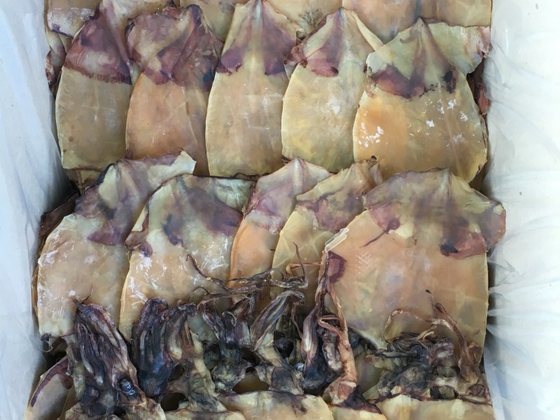 Khô mực xà đen làm sạch da